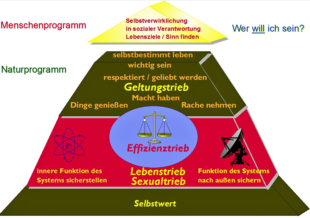 Das Menschenprogramm